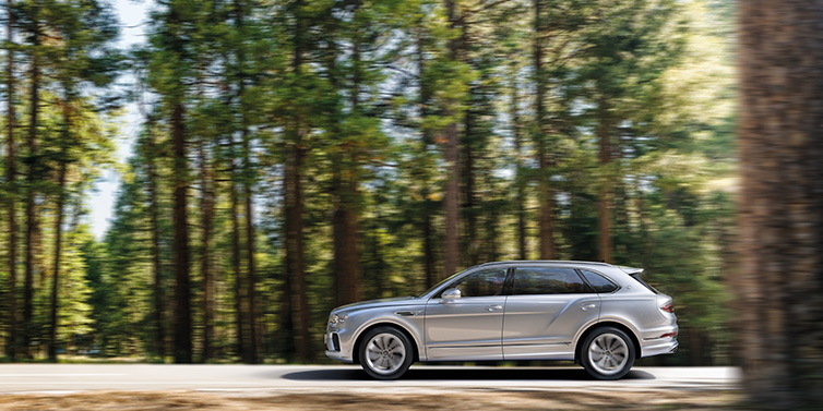 Bentley Warszawa Bentley Bentayga Extended Wheelbase SUV in Moonbeam paint driving dynamically on a forest road